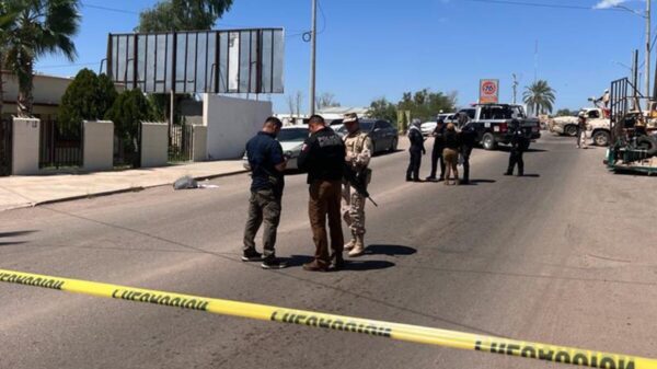 Abandonan en pleno centro cadáver descuartizado en bolsas plásticas