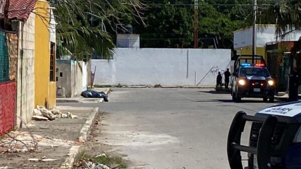 Descubren cadáver "embolsado" en la SM 227 de Cancún