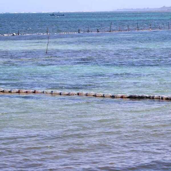 Las acciones de atención al sargazo se realizan a diario y entre todos: Carlos Joaquín