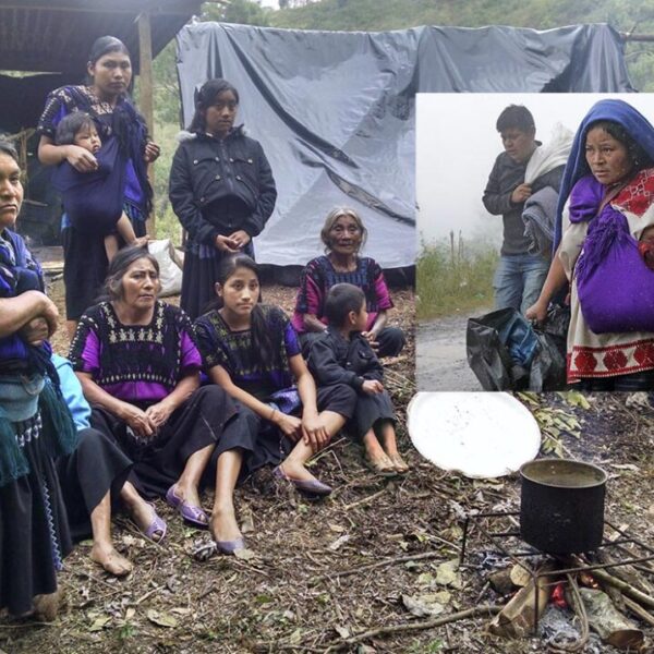 Absurda celebración del Día Mundial de los Pueblos Indígenas en México