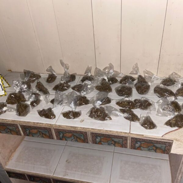 Asegura la FGE droga tras cateos en Tulum y Cozumel.