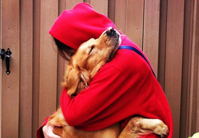 ¿Los perros también puede llorar de felicidad?