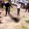 Indignante!, torturan hasta la muerte a osezno en Coahuila