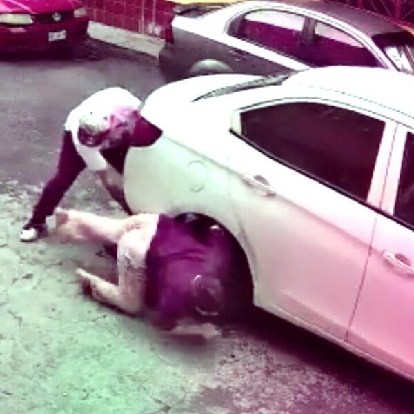 Niño de tres años es aplastado por auto, pero sobrevive