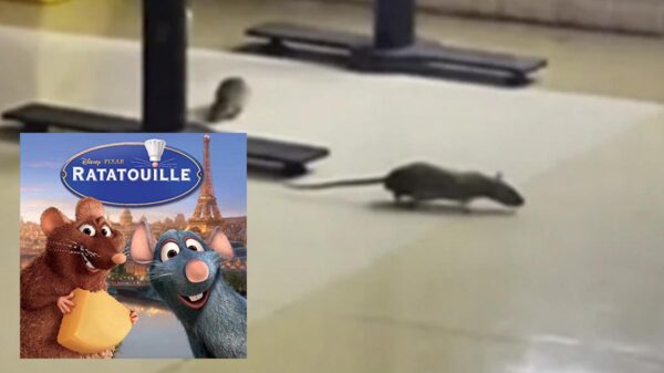 Se viraliza "Ratatouille mexicano" en restaurante de Plaza Forum
