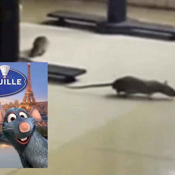 Se viraliza "Ratatouille mexicano" en restaurante de Plaza Forum