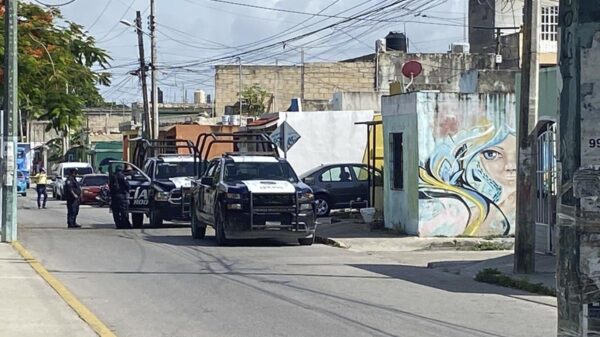 Dejan hielera con presuntos restos humanos en la SM 91 de Cancún