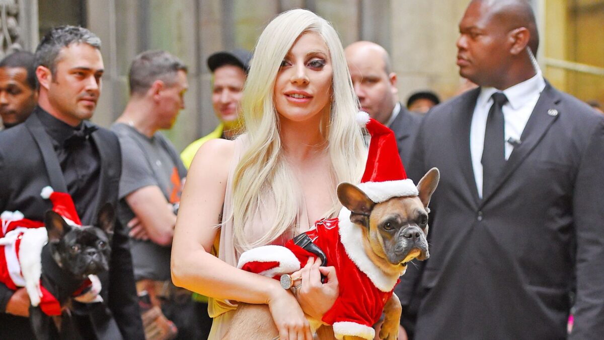 Sentencian a cuatro años de prisión al secuestrador de perros de Lady Gaga