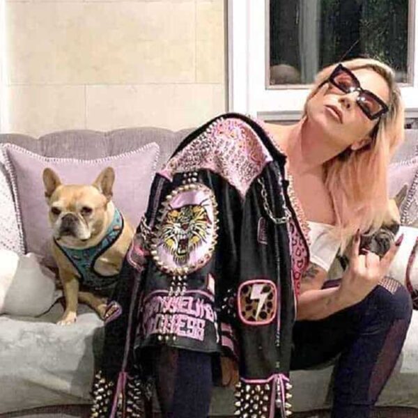 Sentencian a cuatro años de prisión al secuestrador de perros de Lady Gaga