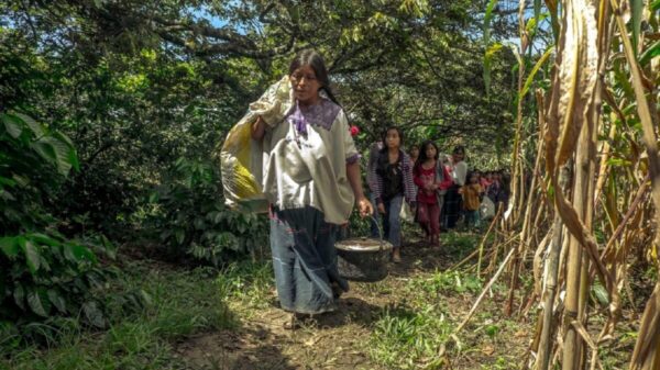 Paramilitares reinician ataque contra tsotsiles en Chiapas