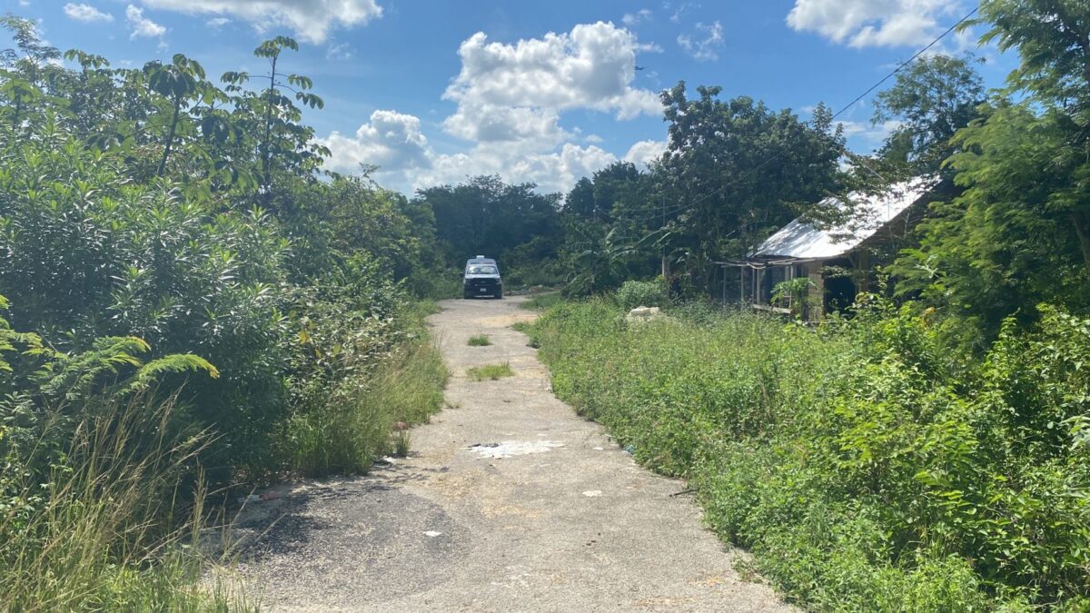 Hallan tres cuerpos putrefactos en al colonia La Amistad en Cancún (VIDEO); fueron integrantes del Comité de Búsqueda quienes los localizaron