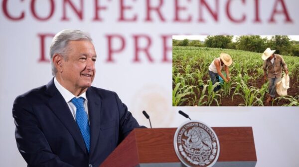 Acuerdan Gobierno, productores y distribuidores plan antiinflación