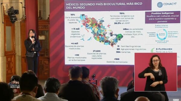 Incluyen a la medicina tradicional en plan para federalizar atención a salud