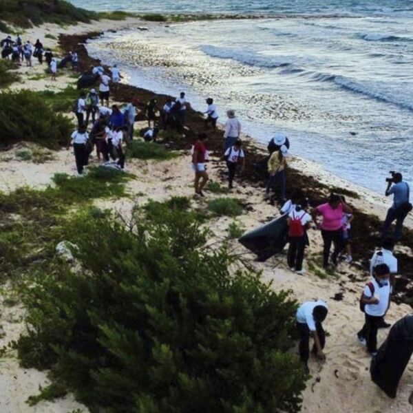 En Quintana Roo se protegen los recursos naturales para que sean perdurables