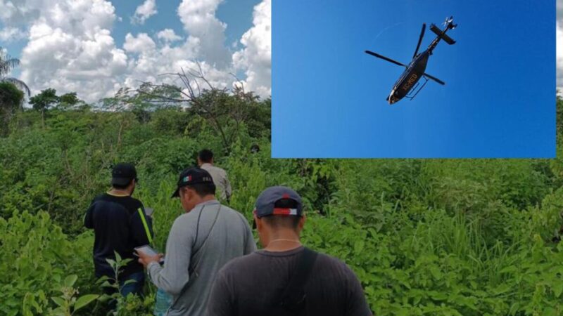 Aparece muerto cazador perdido en selva de Yucatán