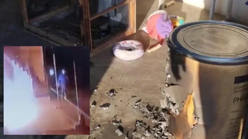 Mueren mascotas en incendio de veterinaria, sospechan de cliente