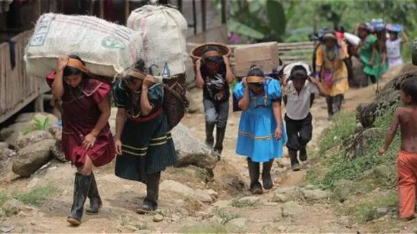 Cuatro de cada 10 desplazados en México son indígenas: ONU