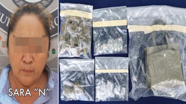 Detienen a una mujer con drogas en la zona de Las Torres.