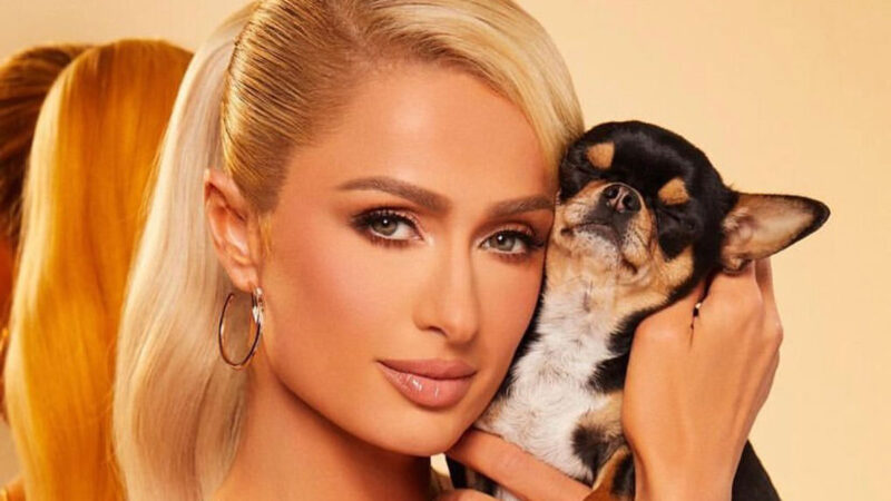 Paris Hilton contrata detectives, médiums y drones para encontrar a su perro