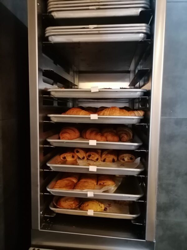 Suspenden un Starbucks en Cancún por hallar cucarachas; la denuncia por la falta de higiene se realizó a través de las redes sociales.