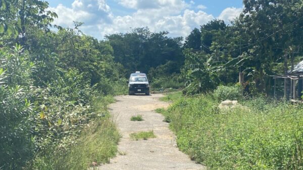 Hallan tres cuerpos putrefactos en al colonia La Amistad en Cancún (VIDEO).
