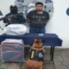 Cae con maleta con droga en terminal de autobuses de Playa del Carmen.