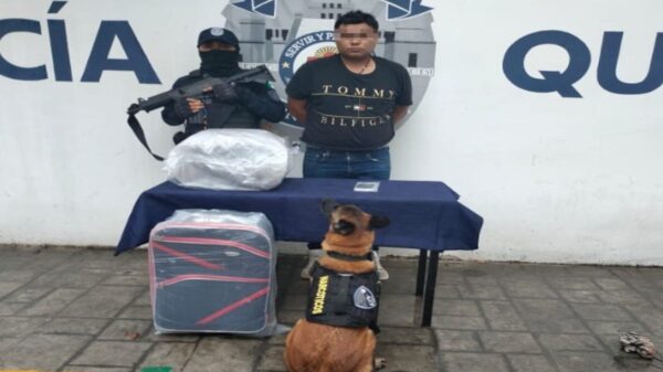 Cae con maleta con droga en terminal de autobuses de Playa del Carmen.