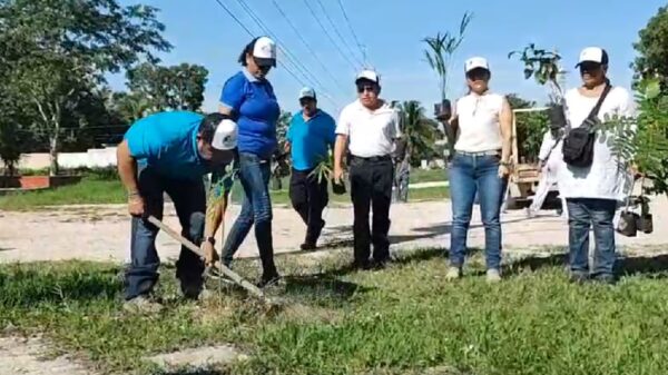 Asociación Ecologista apoya al Tren Maya con campaña de reforestación.
