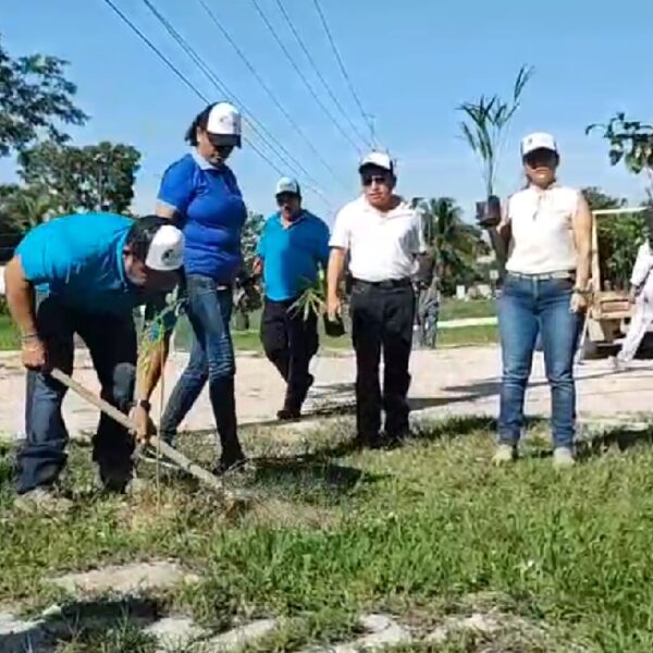Asociación Ecologista apoya al Tren Maya con campaña de reforestación.