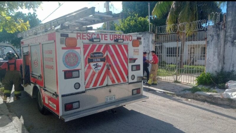 Rescatan a dos niñas encerradas en una casa de la Supermanzana 62 de Cancún.