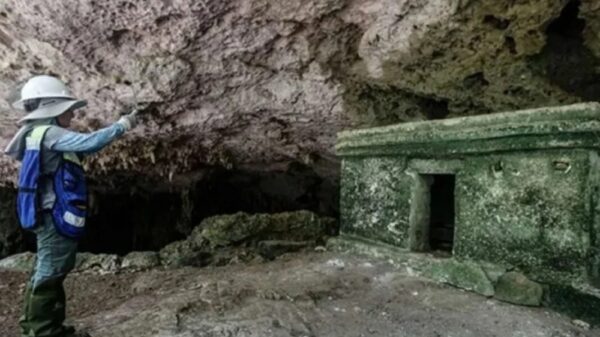 “Casi una labor quirúrgica” rescate arqueológico en ruta del Tren Maya