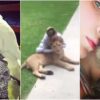 Belinda es señalada por tener animales exóticos en su casa