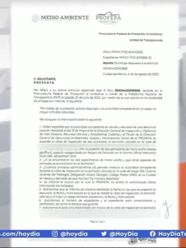 Belinda es señalada por tener animales exóticos en su casa