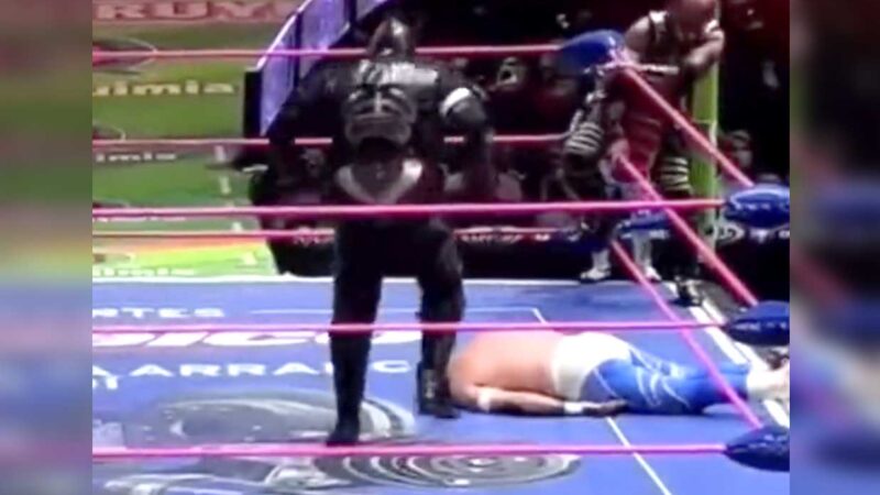 Brutal "guillotina" deja inconsciente al luchador Blue Phanter