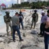 Hallan cabeza de cocodrilo en playa aledaña a hotel de Cancún