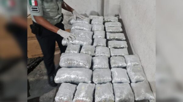 Incautan envío de droga en Aeropuerto Internacional de Cancún