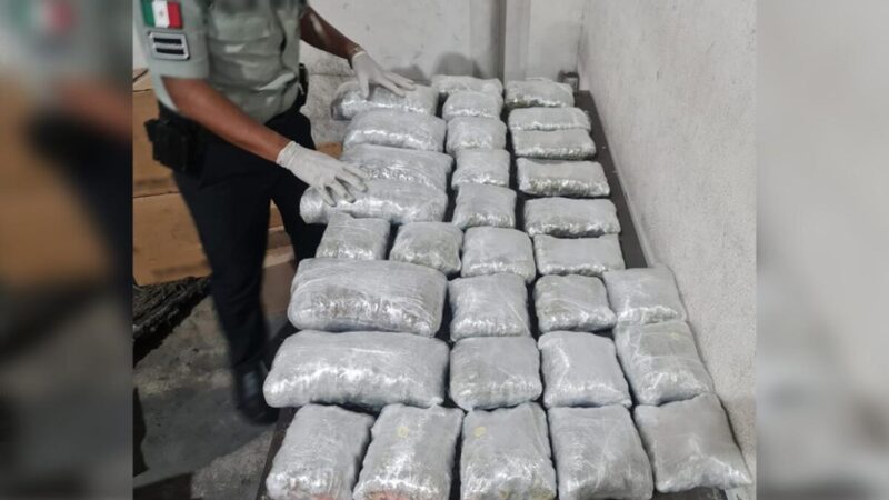 Incautan envío de droga en Aeropuerto Internacional de Cancún