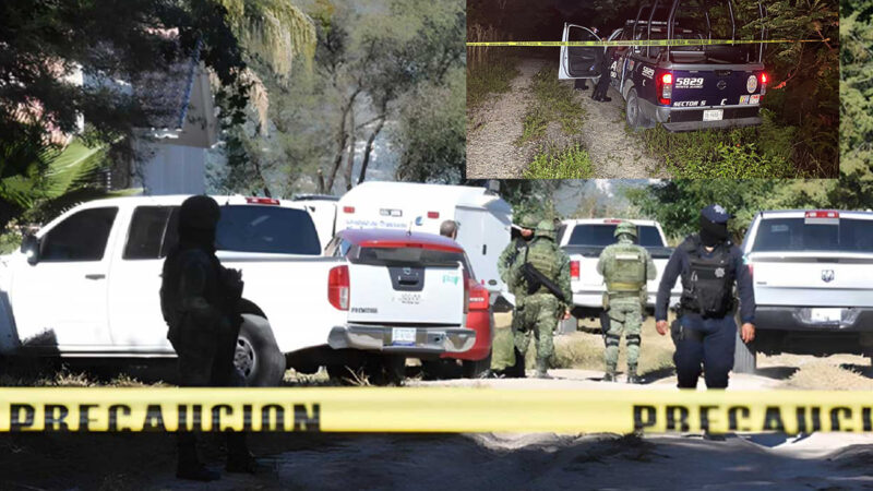 Semana del horror: En seis días asesinan en México a 520 personas 