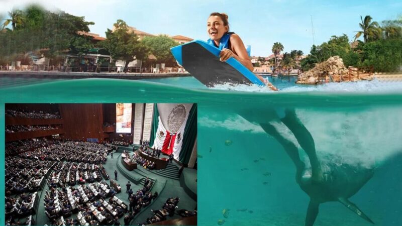 No mas explotación de mamíferos marinos en México, Congreso los prohibe