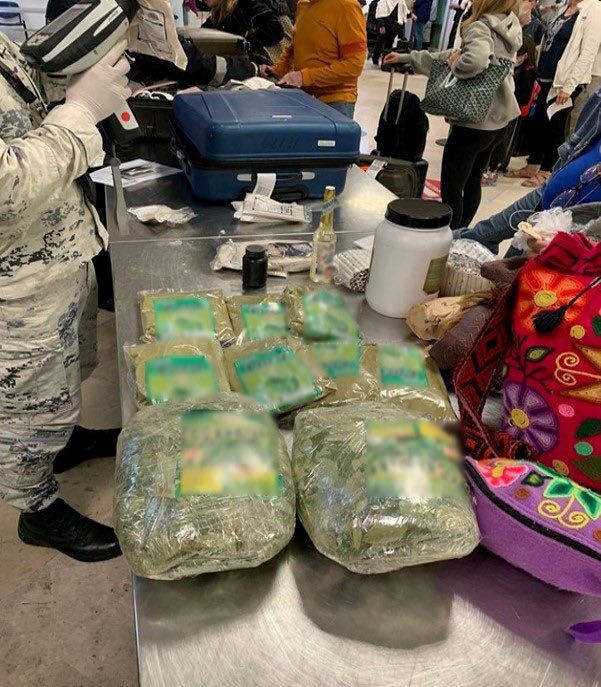 En el aeropuerto de Cancún detienen a peruano con hojas y harina de coca; la sustancia es un extracto para la elaboración del alcaloide.