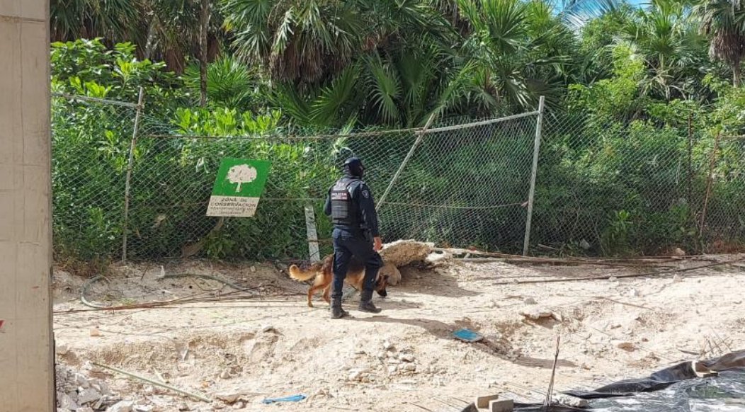 Detienen a 11 involucrados en desapariciones en la Zona Hotelera de Cancún; realiza FGE Quintana Roo operativo de búsqueda en obra.