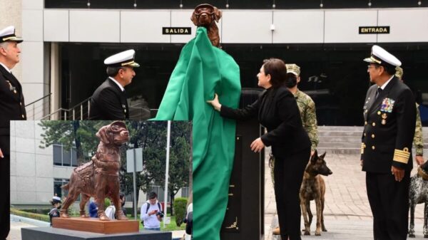 Frida, la perrita rescatista es homenajeada con estatua por la Semar