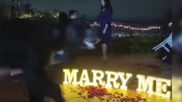 Qué oso en pedida de matrimonio!!..literal