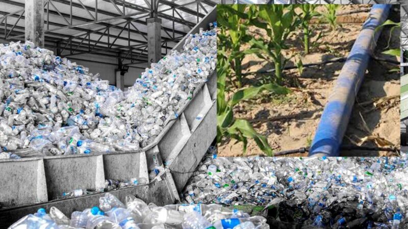 Inaugurarán planta de reciclado de plástico agrícola más grande de México