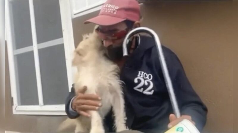 Conmueve reencuentro de abuelito invidente y su perro perdido