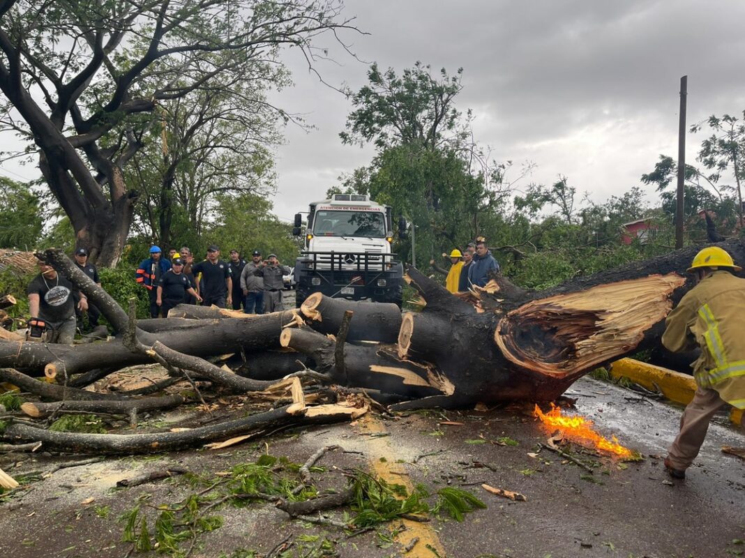 Laura Velázquez Alzúa, titular de la Coordinación Nacional de Protección Civil (CNPC), recordó que “Roslyn” tocó tierra el domingo por la mañana como huracán de categoría 3 en las inmediaciones de la localidad Santa Cruz, ubicada en el municipio de Santiago Ixcuintla, Nayarit.