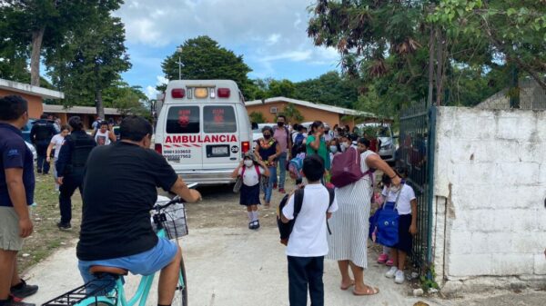 Atacan a abejas africanizadas a alumnos de una primaria en la Supermanzana 72 (VIDEO).