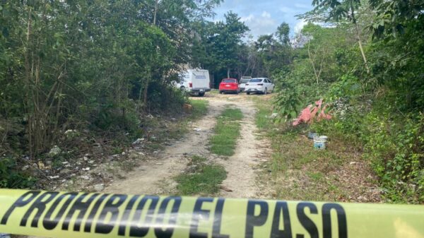 Localizan los restos de un hombre en la delegación Alfredo V. Bonfil.