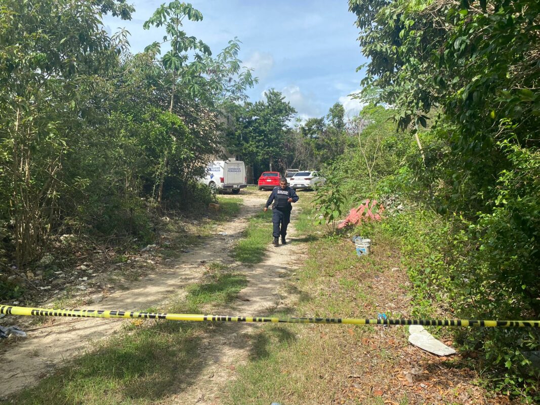 Localizan los restos de un hombre en la delegación Alfredo V. Bonfil; la víctima estaba cubierta con la puerta de un refrigerador y ramas.