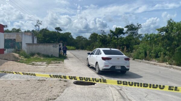 Hallan un embolsado en Ciudad Natura en Cancún (VIDEO).